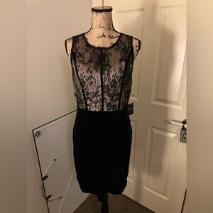 Forever 21 F21 lace detail black velvet bodycon clubbing cocktail mini dress XL